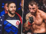   Volkanovski   UFC 232