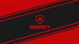 Other. Gambit-Sports   Apex 