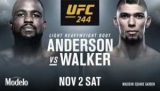         UFC 244